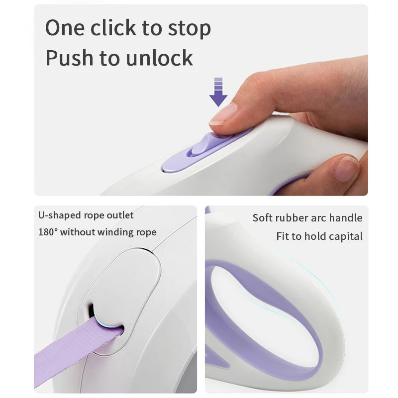 Dog Leash with LED Light