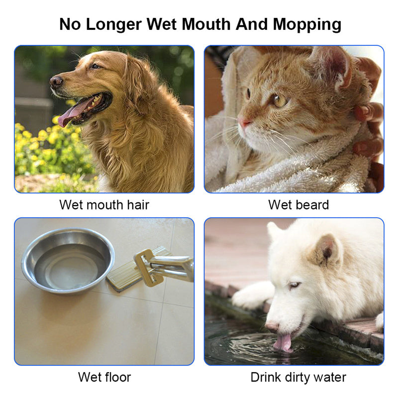 Pet Water Bowl - Slow Water Feeder Dispenser