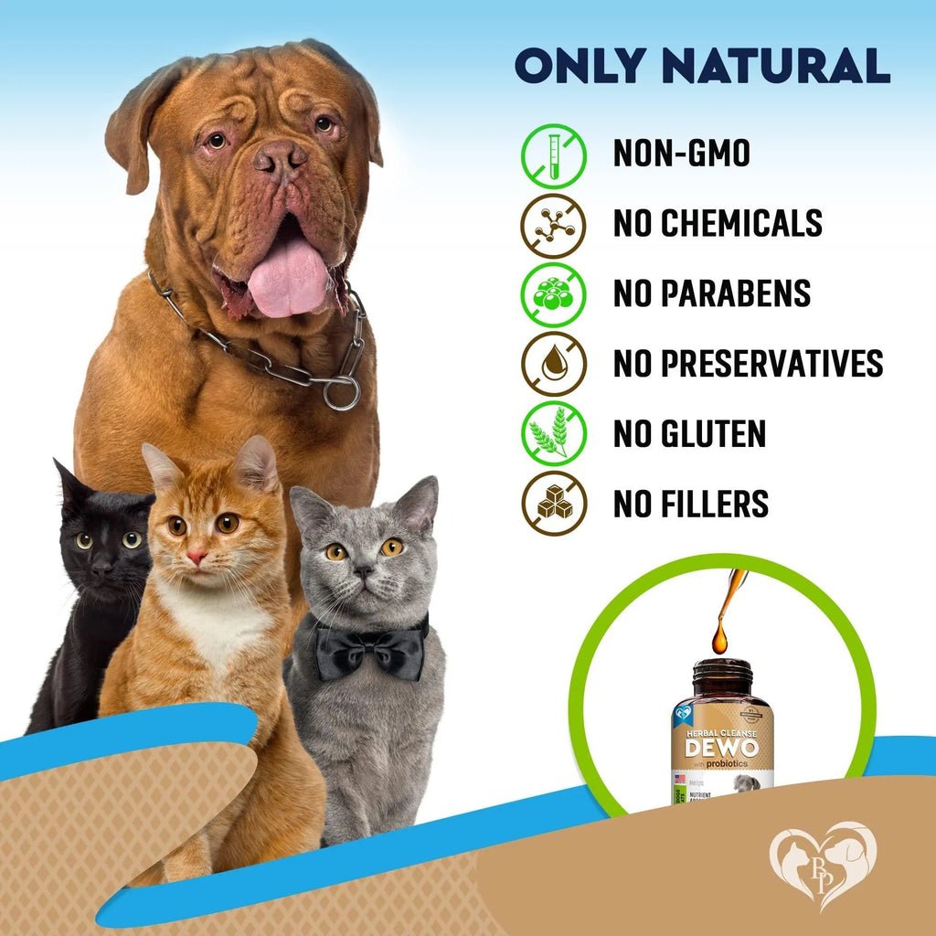 Cats And Dogs Natural Worm Treatment With Probiotic Liquid Herbal Medicine Prevention