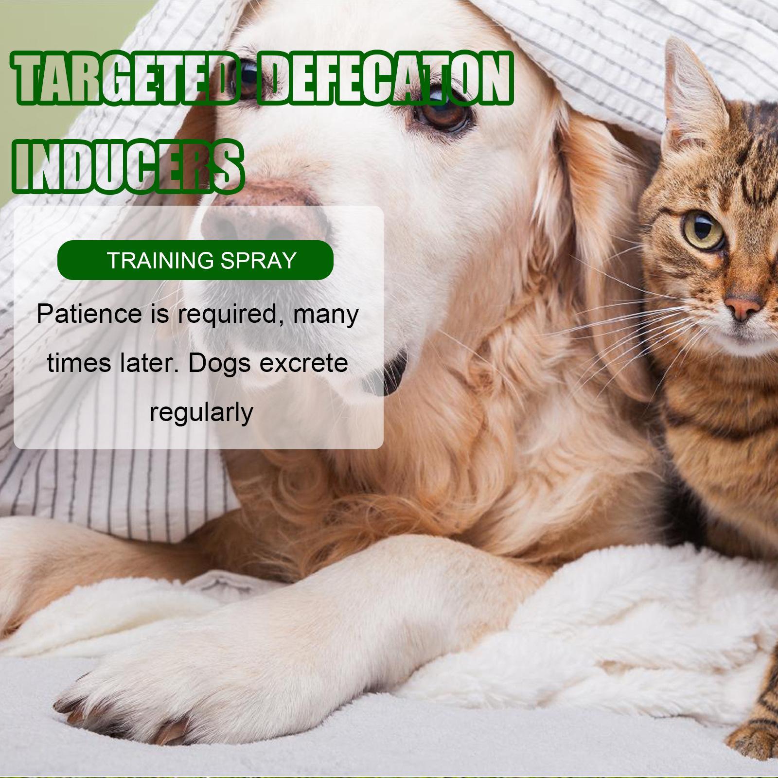 Pet Positioning Defecation Inducer