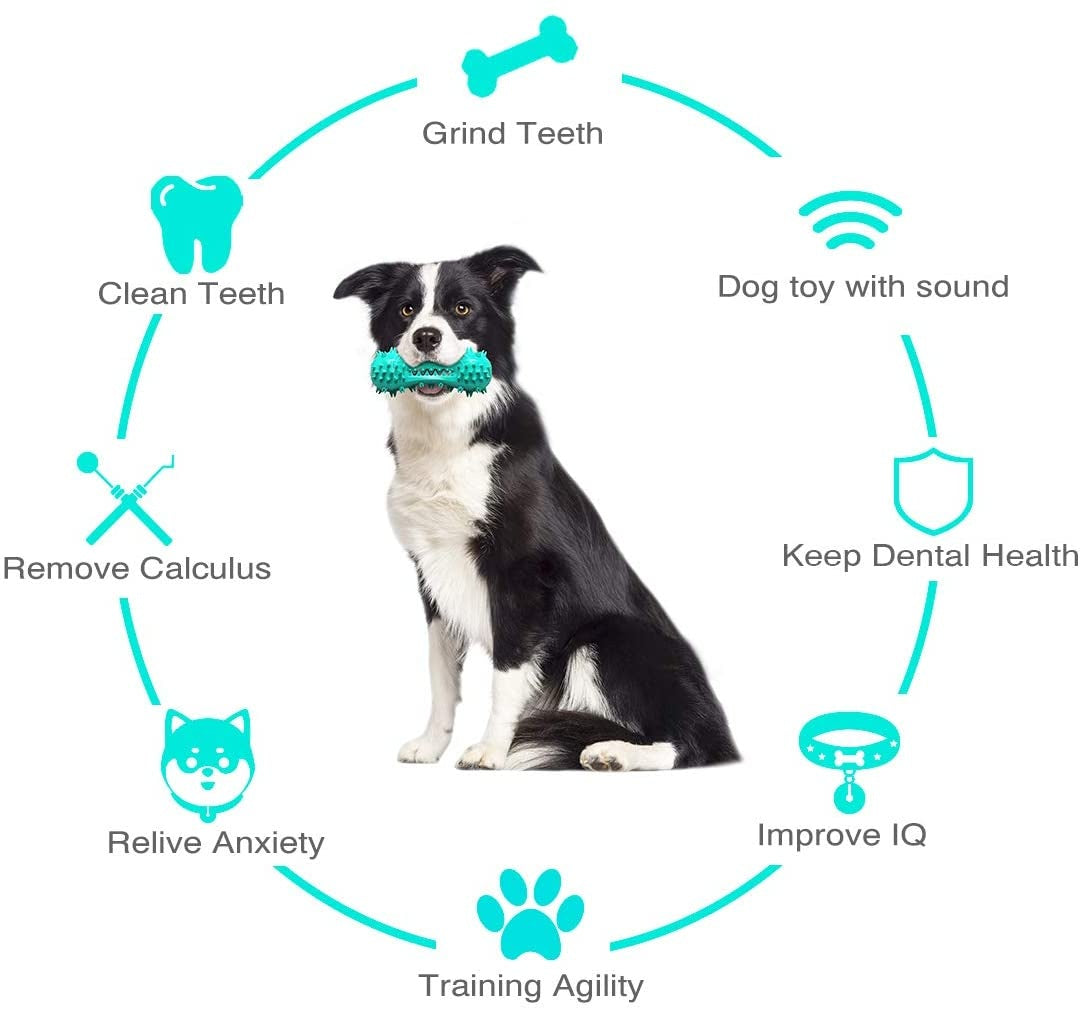 Dog Toothbrush Chew Toy