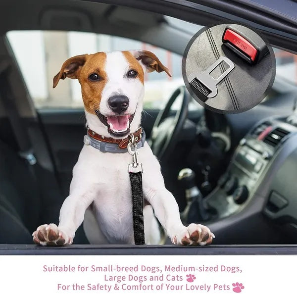 Dog Car Seatbelt