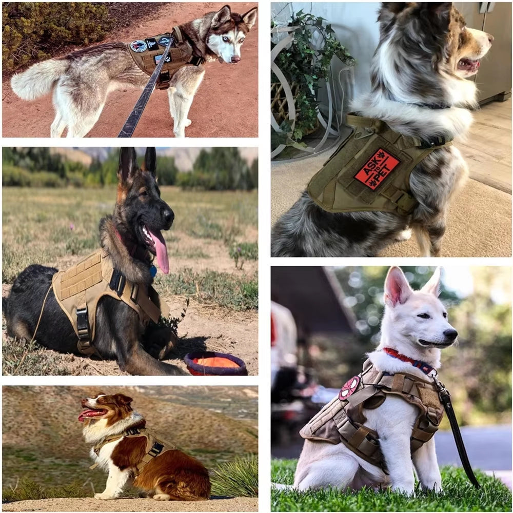 Tactical Dog Harness &amp; Leash Set
