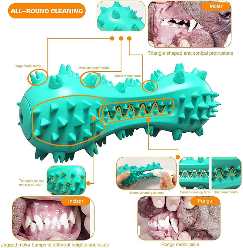 Dog Toothbrush Chew Toy