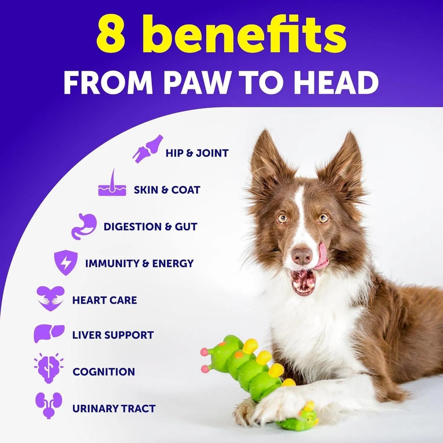 Dog Multivitamin Chewable With Glucosamine