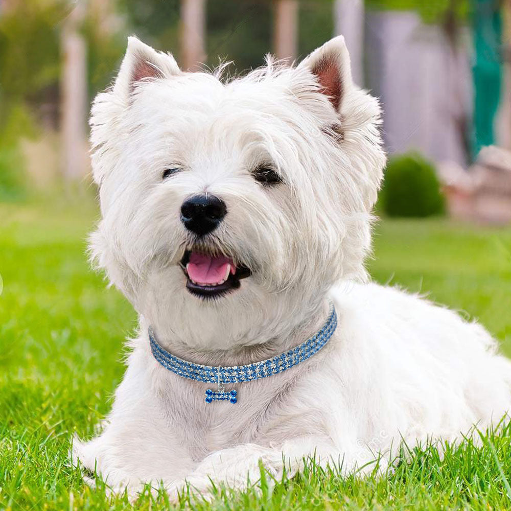 Rhinestone dog collar 