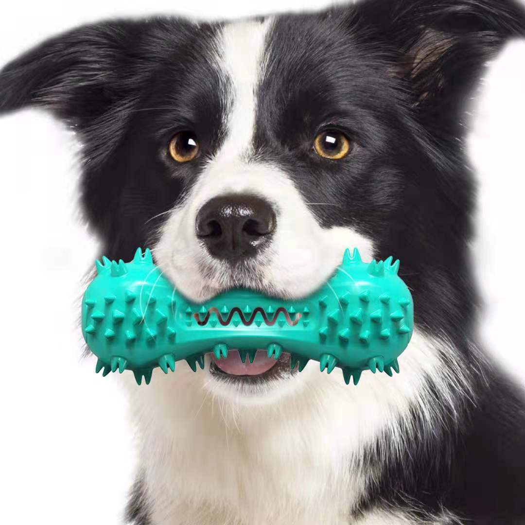Dog Toothbrush Chew Toy