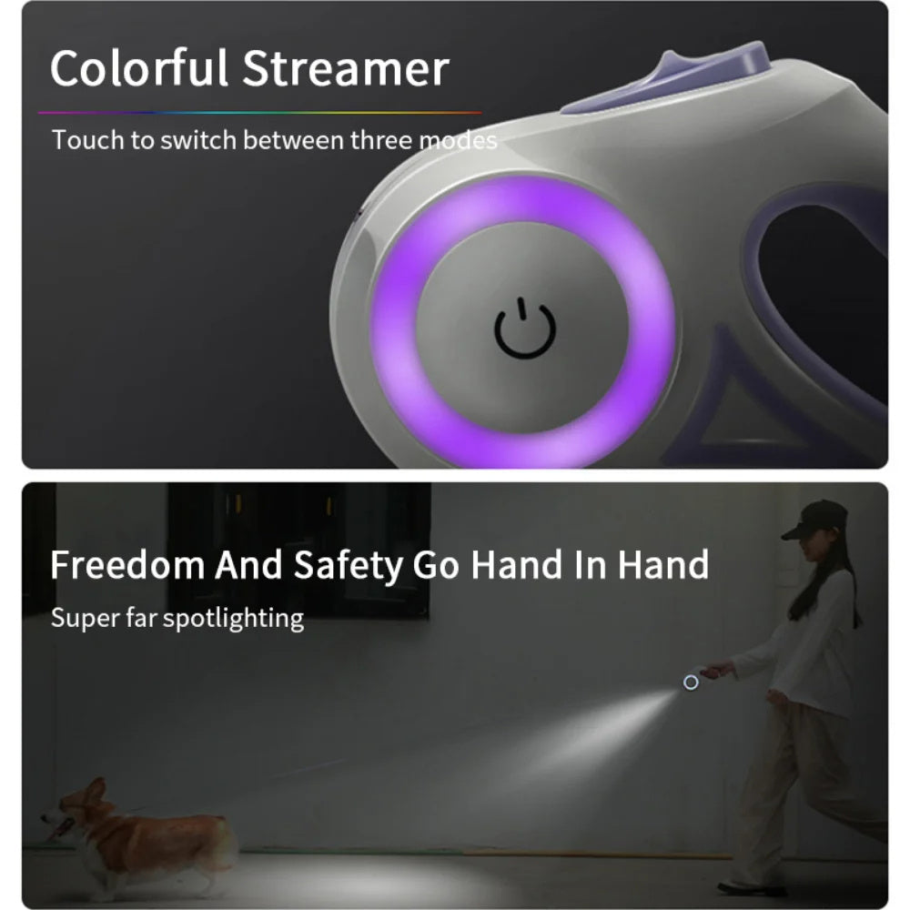 Dog Leash with LED Light