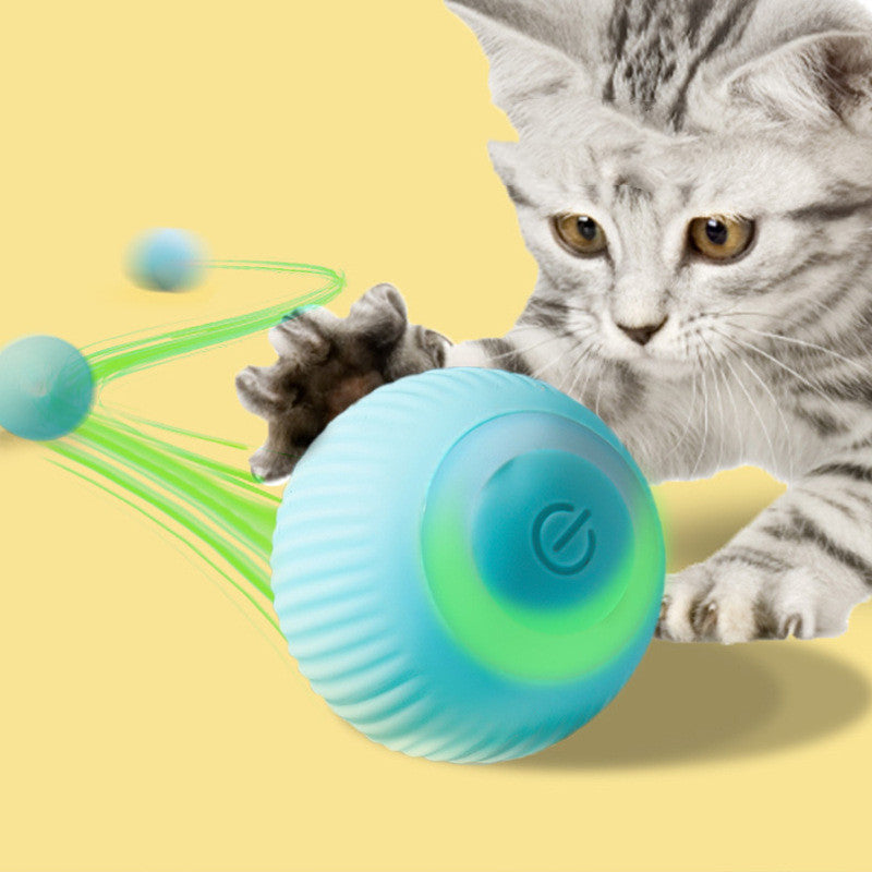 Rechargeable Electric Ball Toy