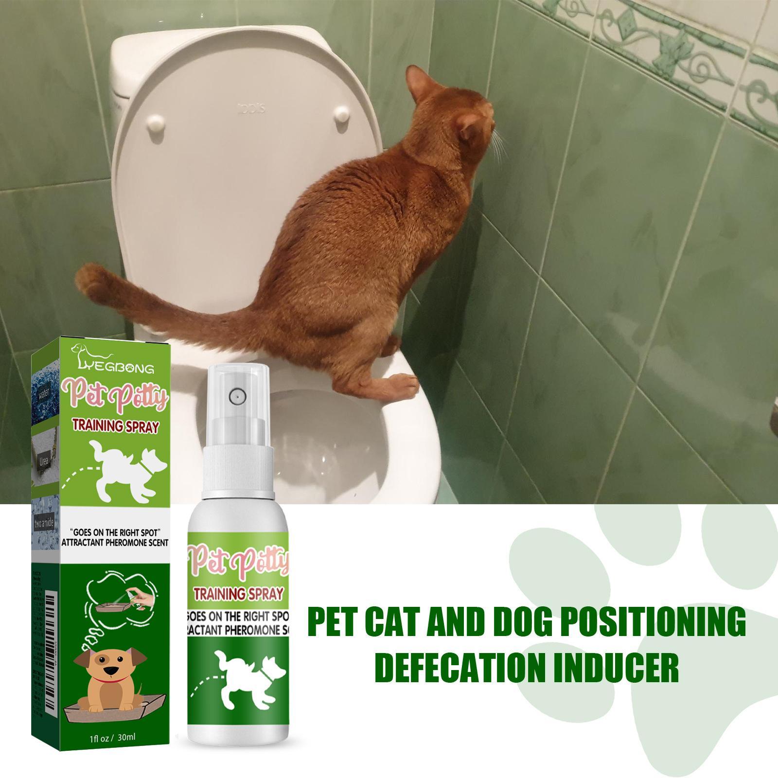 Pet Positioning Defecation Inducer