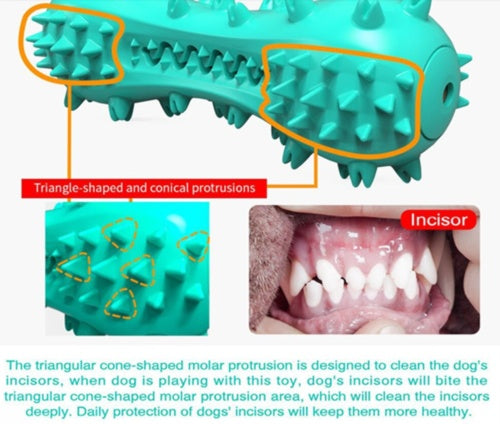 Dog Toothbrush Chew Toy
