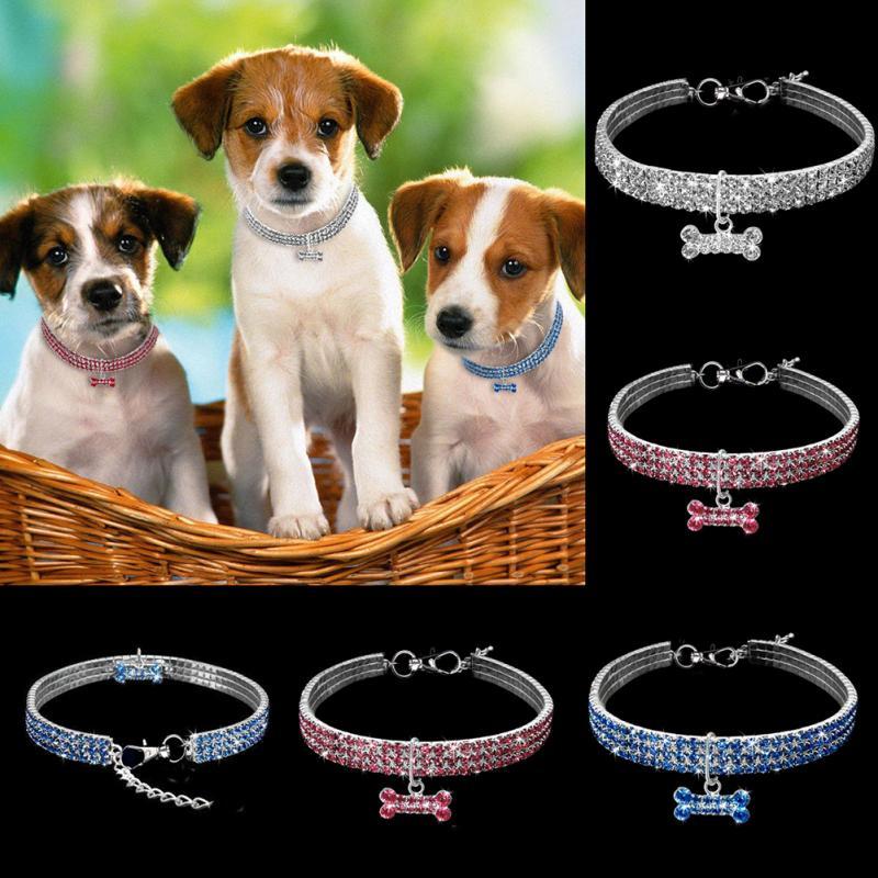 Rhinestone dog collar 