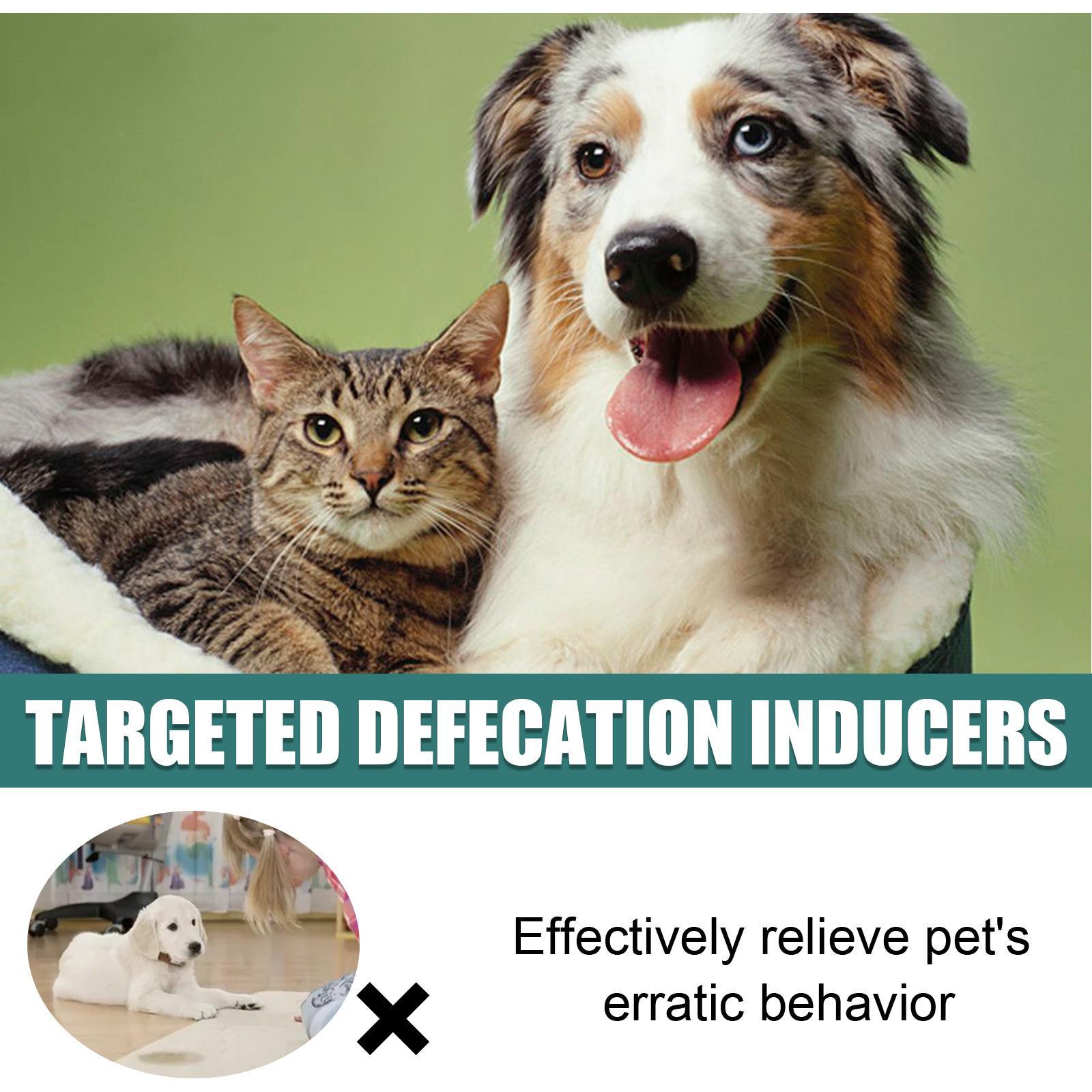 Pet Positioning Defecation Inducer