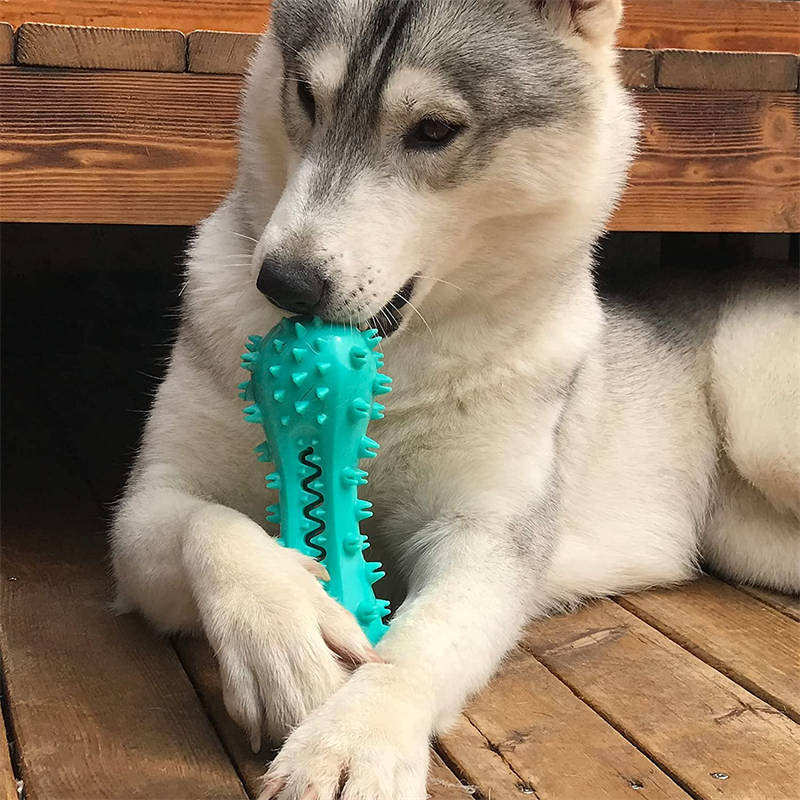 Dog Toothbrush Chew Toy