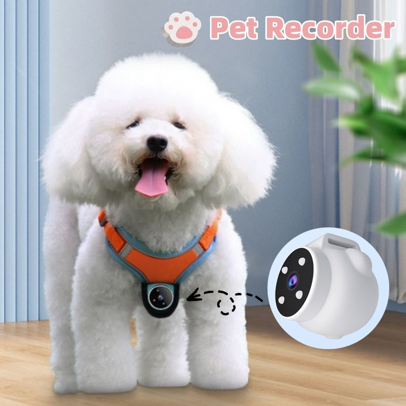 Pets Recorder ,Tracker Collar