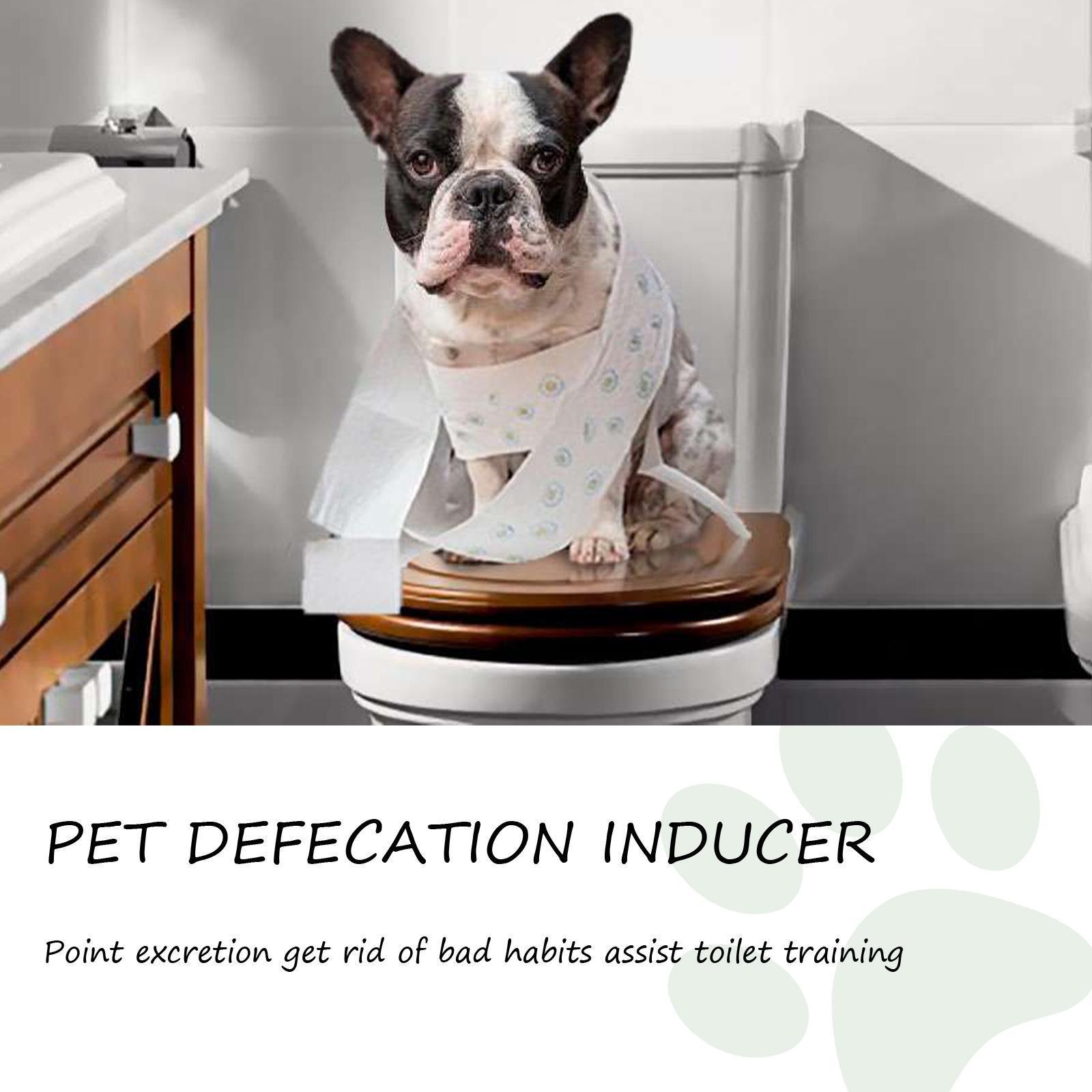 Pet Positioning Defecation Inducer
