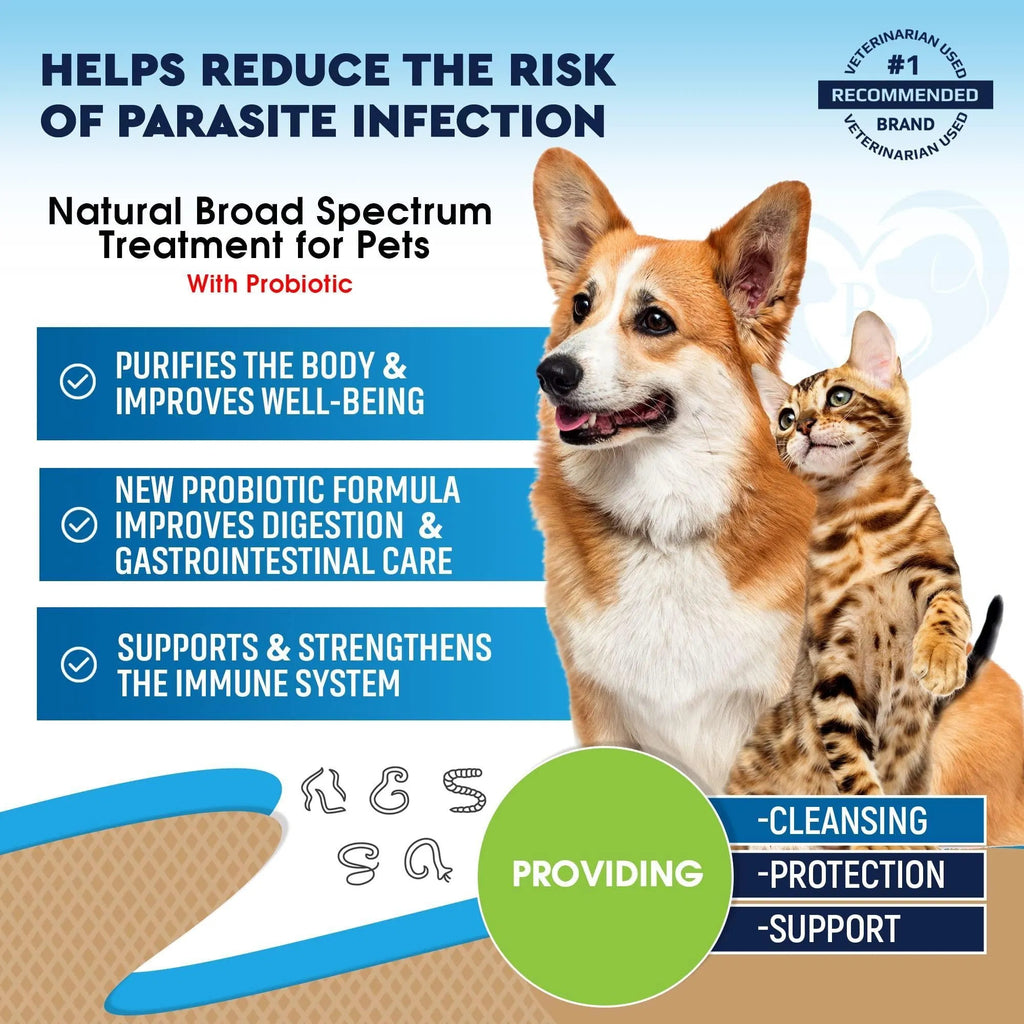 Cats And Dogs Natural Worm Treatment With Probiotic Liquid Herbal Medicine Prevention