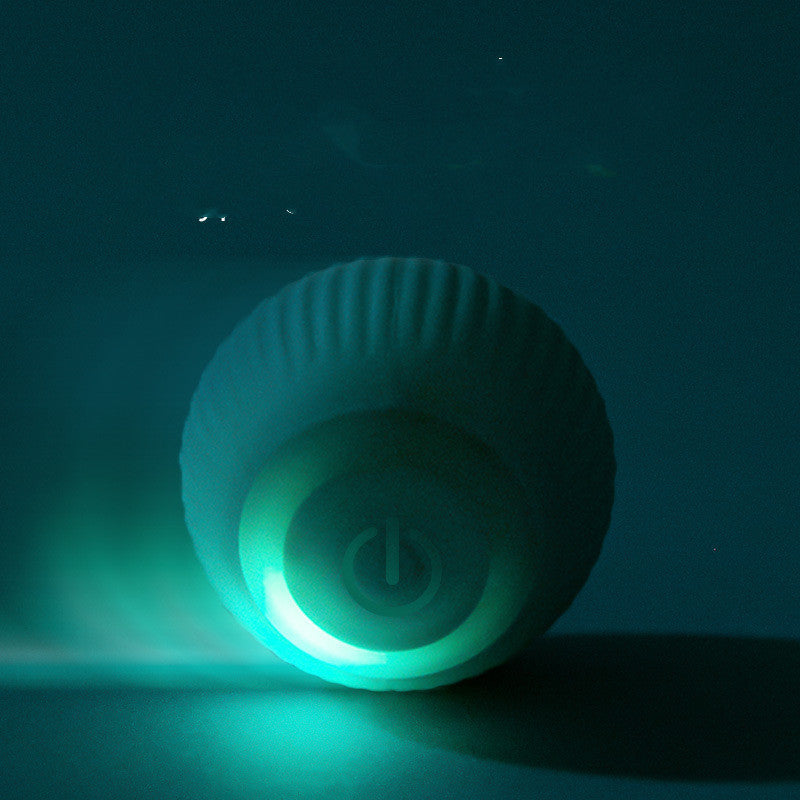 Rechargeable Electric Ball Toy